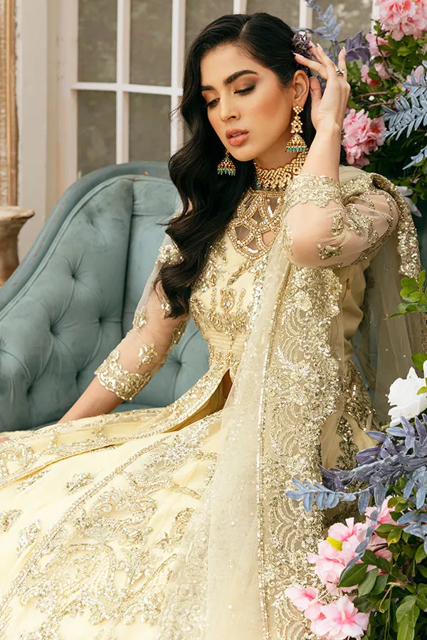 Lehenga with Front Open Gown Pakistani Dress #BS845