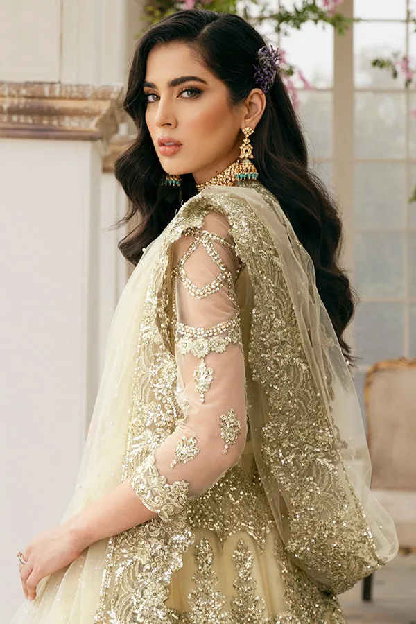 Lehenga with Front Open Gown Pakistani Dress #BS845
