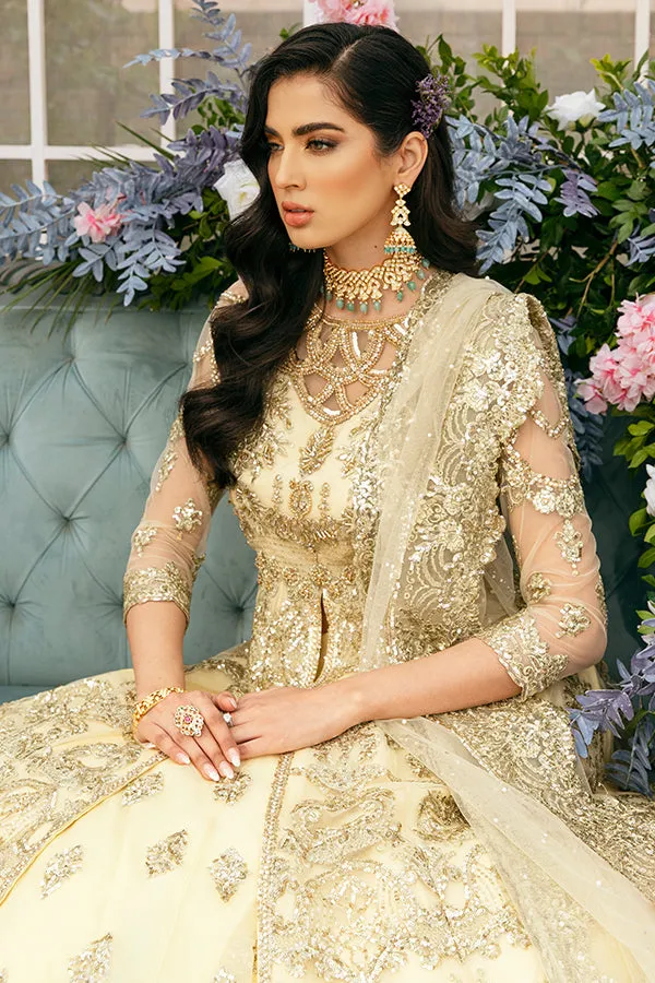 Lehenga with Front Open Gown Pakistani Dress #BS845