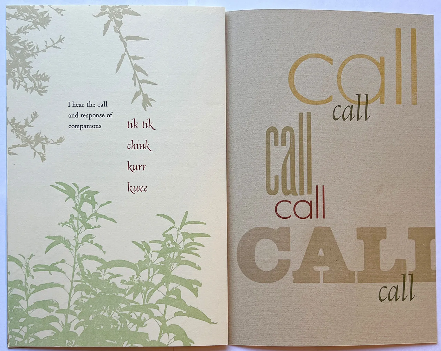 Listen, Notes from the field by Rebecca Chamlee