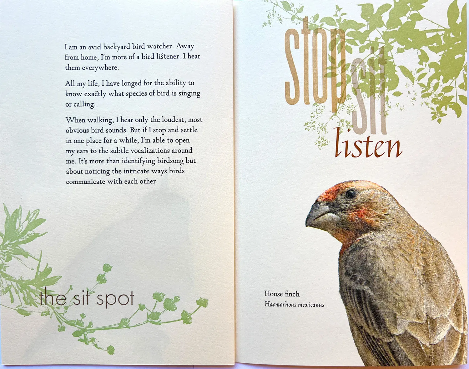 Listen, Notes from the field by Rebecca Chamlee