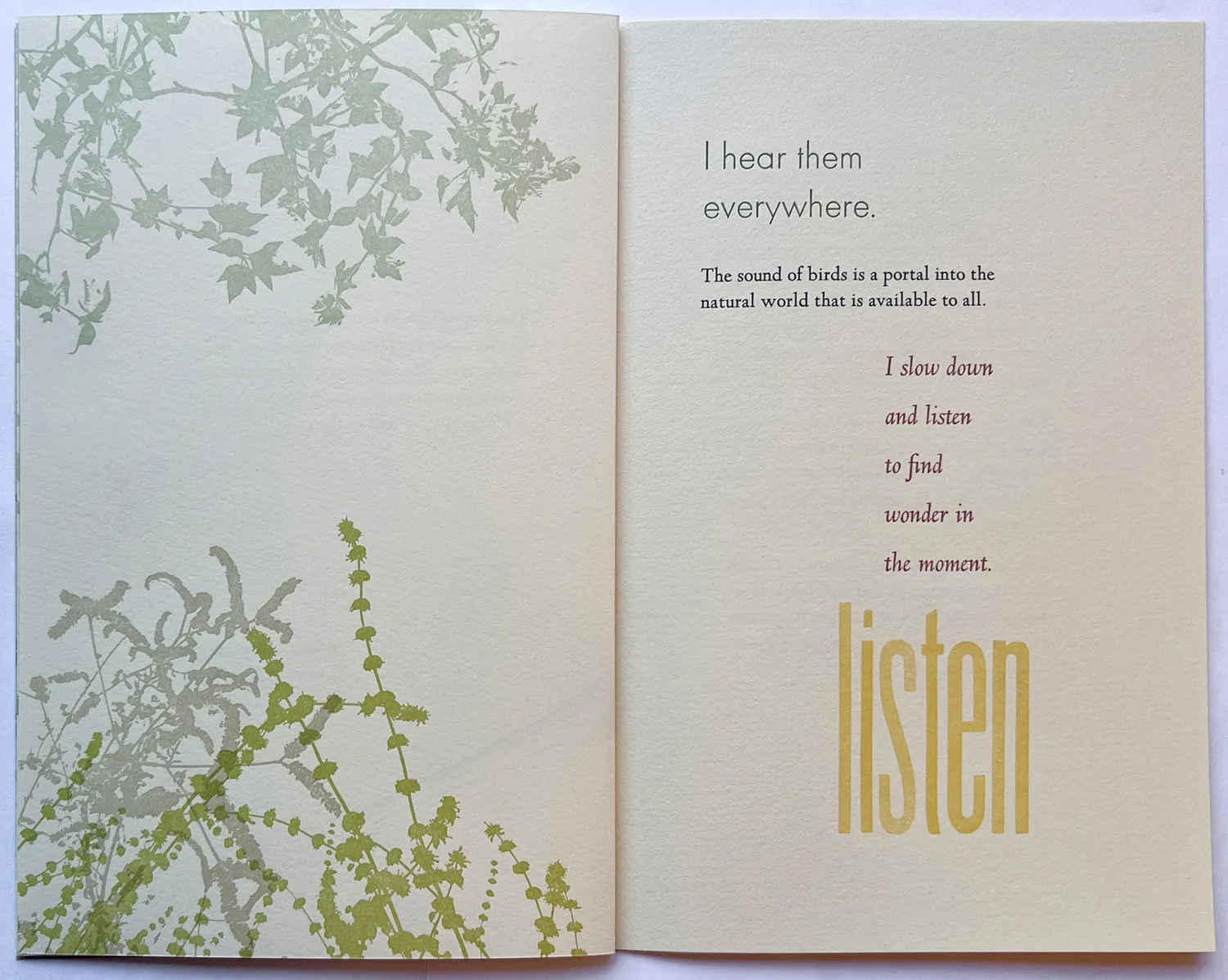 Listen, Notes from the field by Rebecca Chamlee