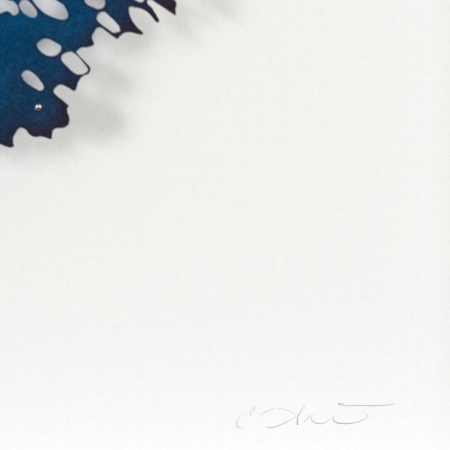 LIZZ ASTON "BLUE APATITE" 2018