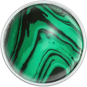 Malachite Stone Upholstery Nail - A Gemstone of Distinctive Beauty