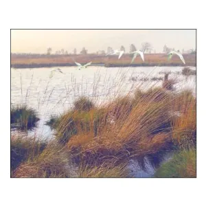 Marshland Hues I