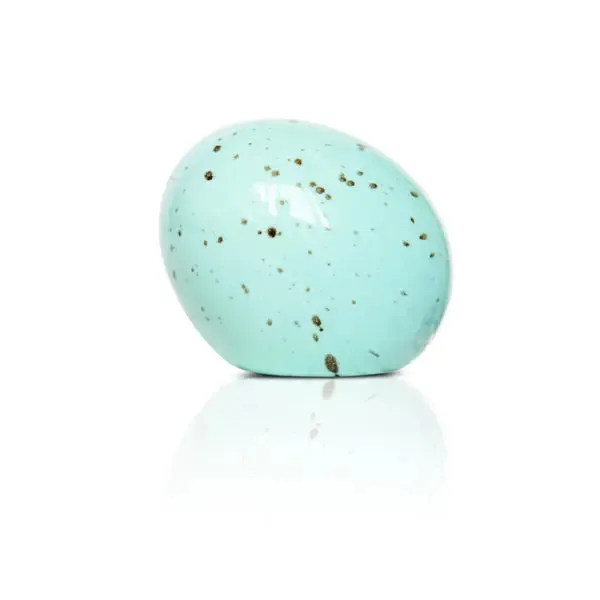 NEW 2025 NORA FLEMING eggstra-ordinary (robin egg) A426