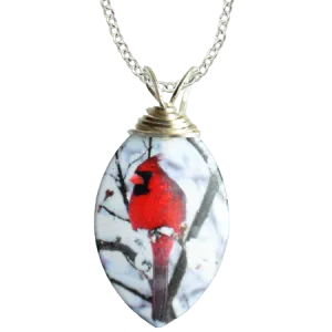 Northern Cardinal