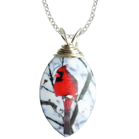 Northern Cardinal