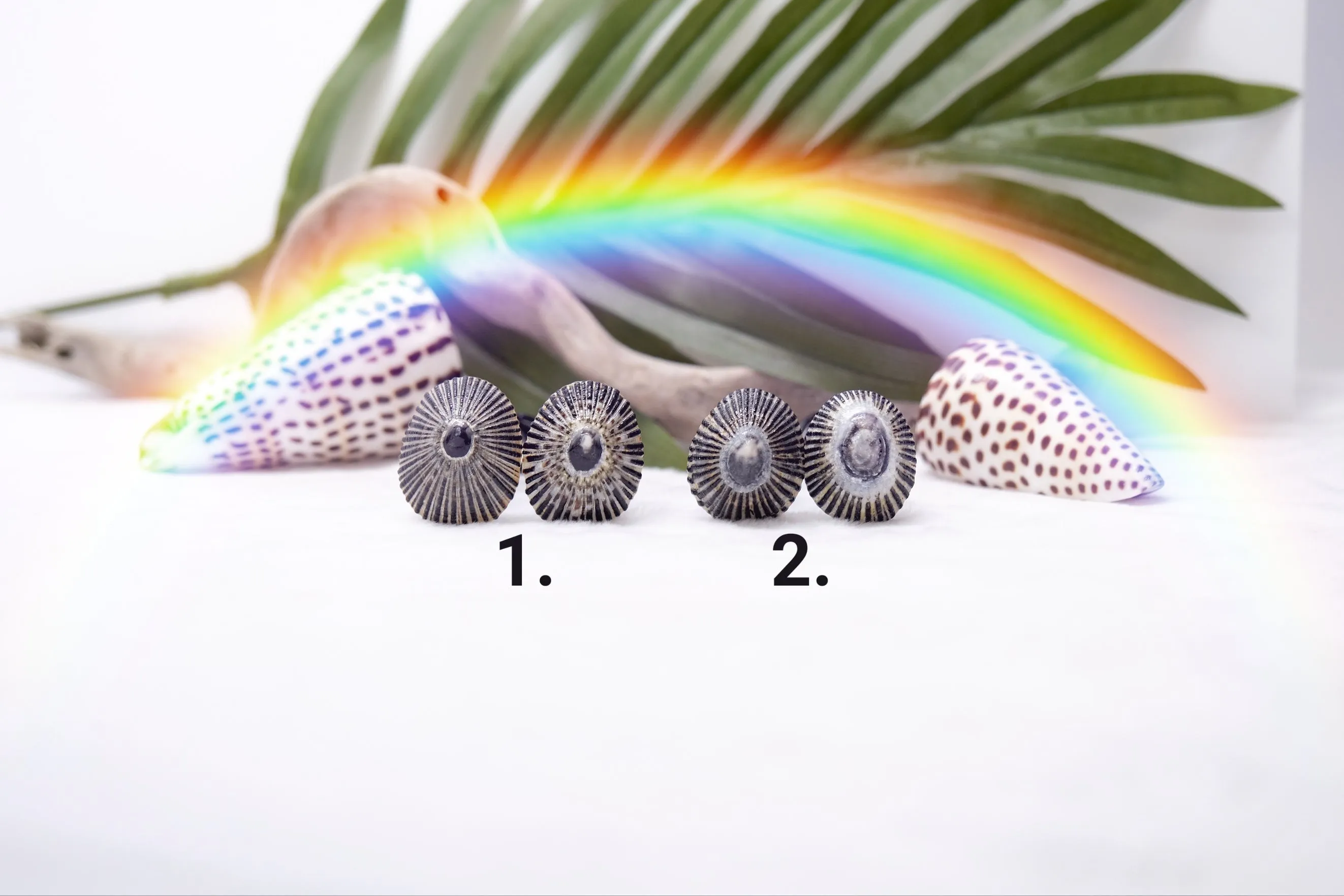 'Opihi Hair Pins