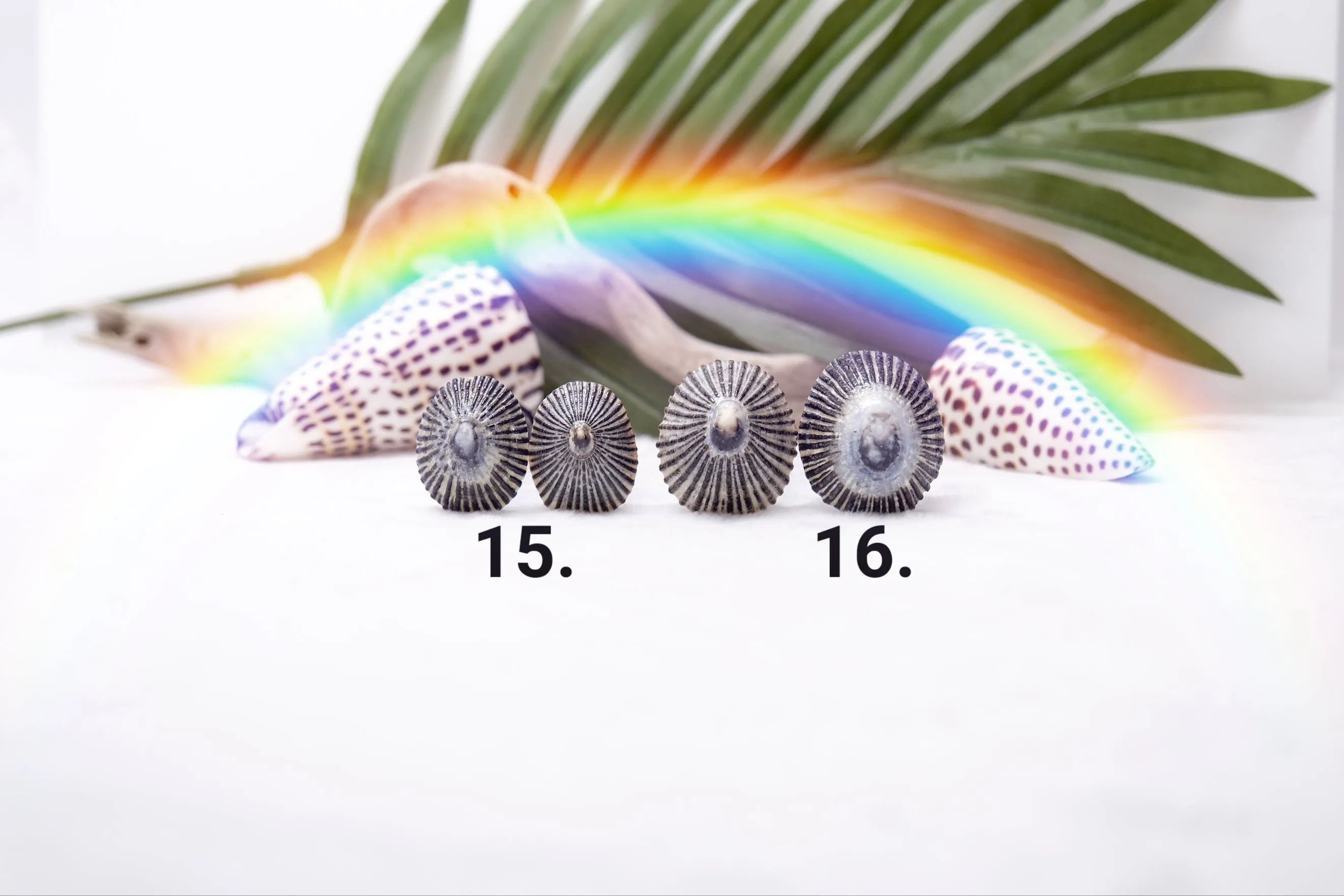 'Opihi Hair Pins