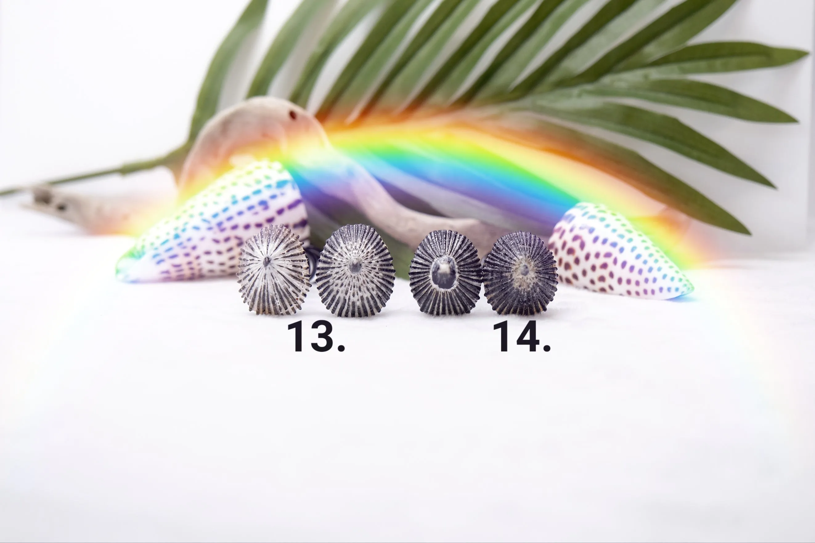 'Opihi Hair Pins