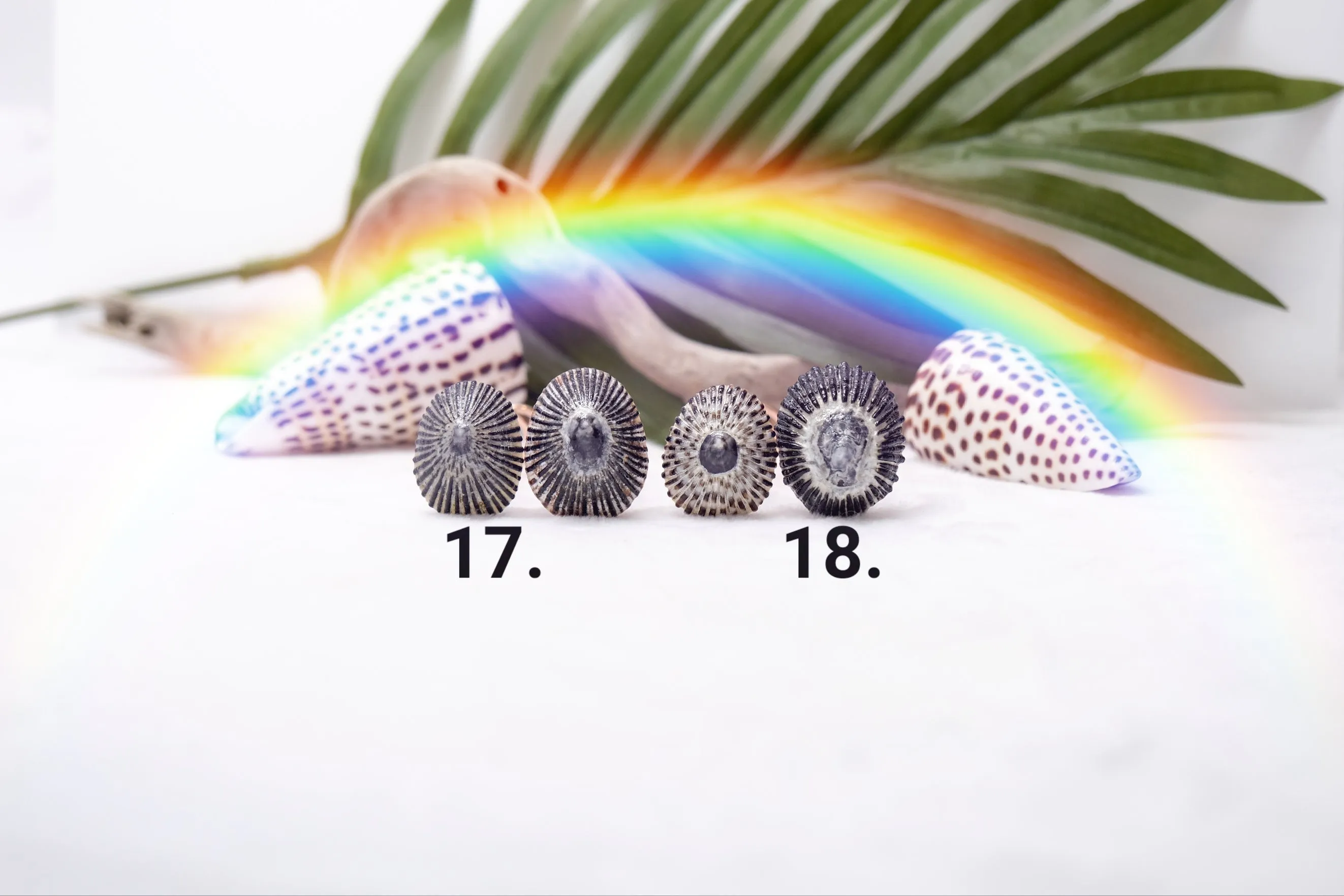 'Opihi Hair Pins