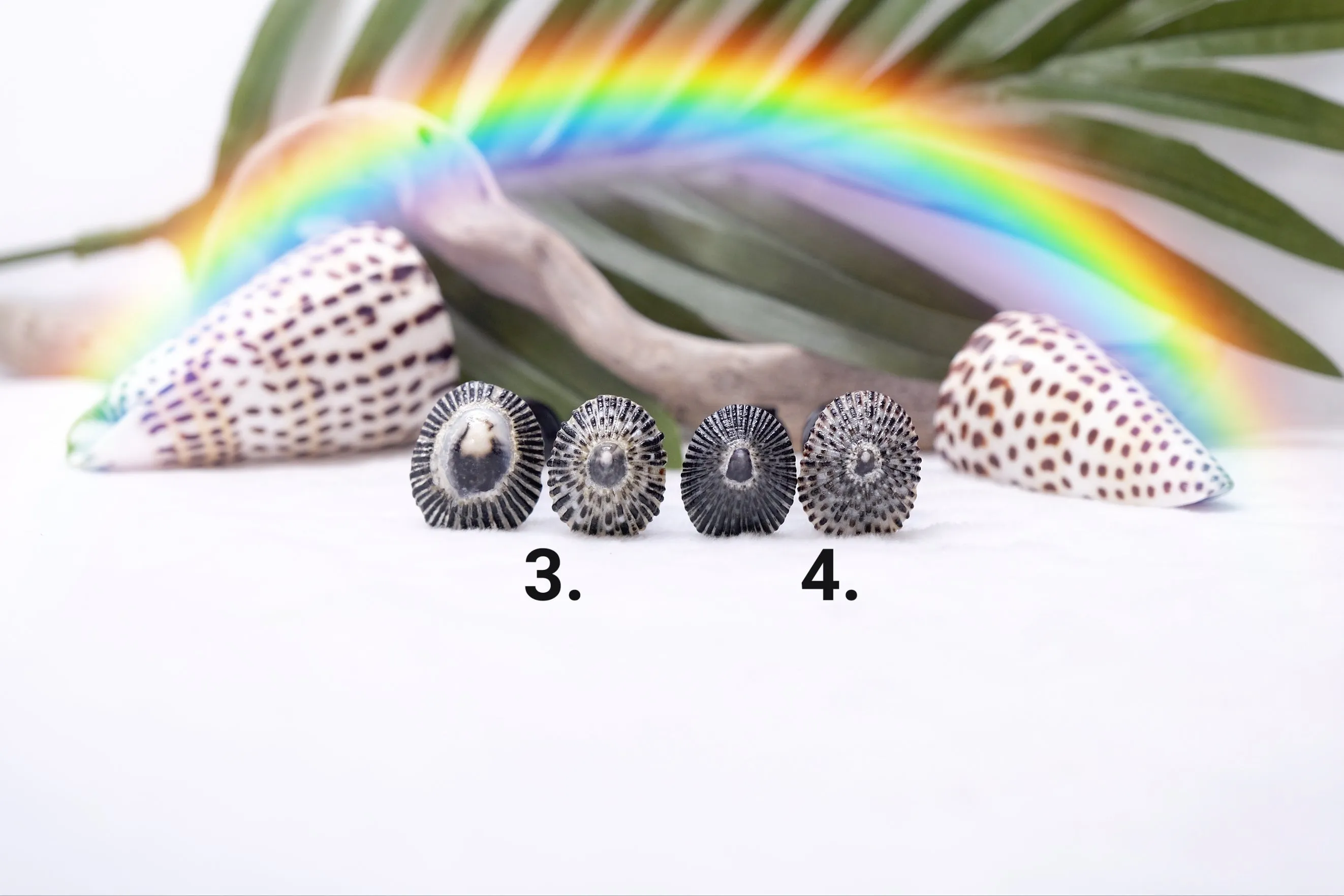 'Opihi Hair Pins
