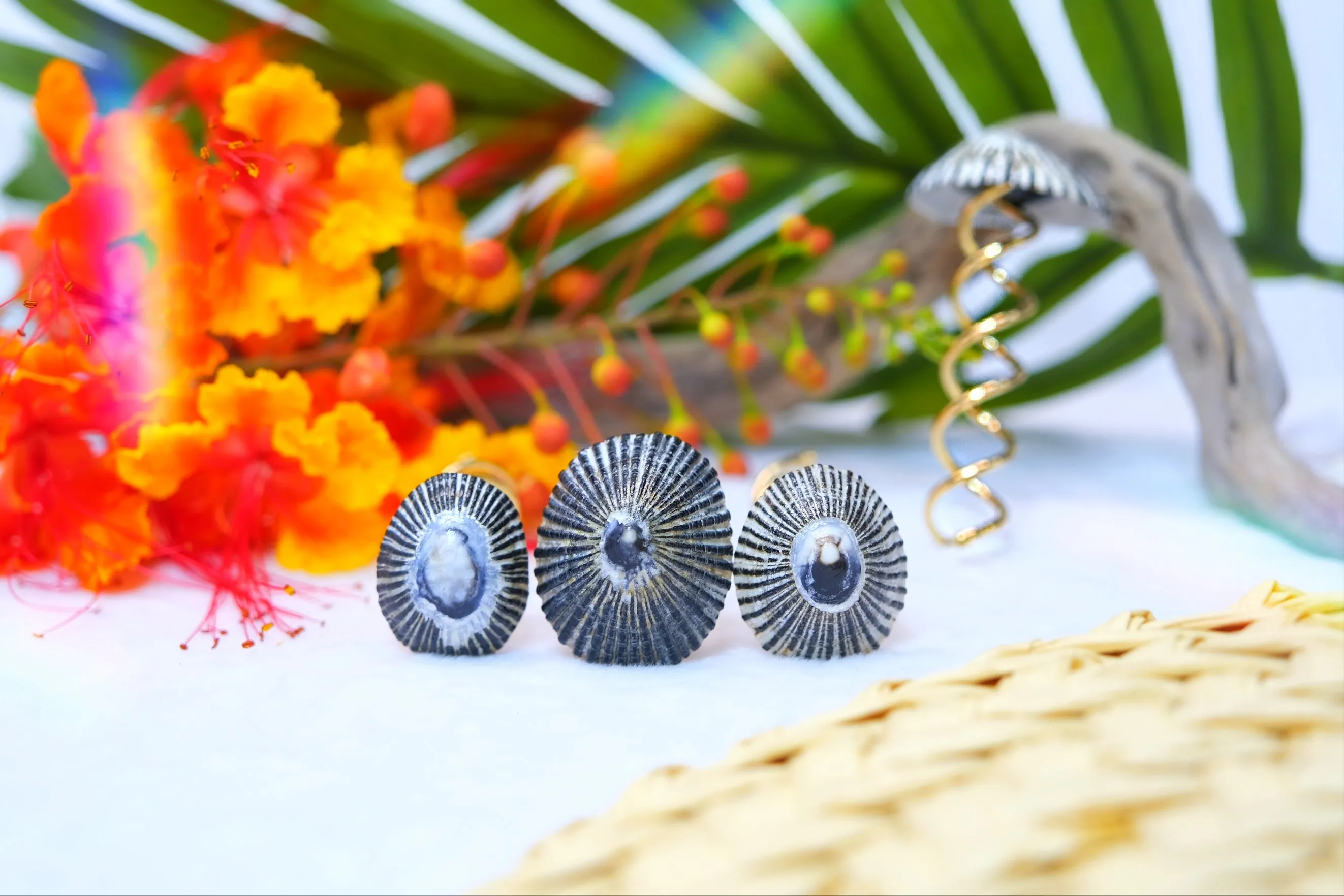 'Opihi Hair Pins