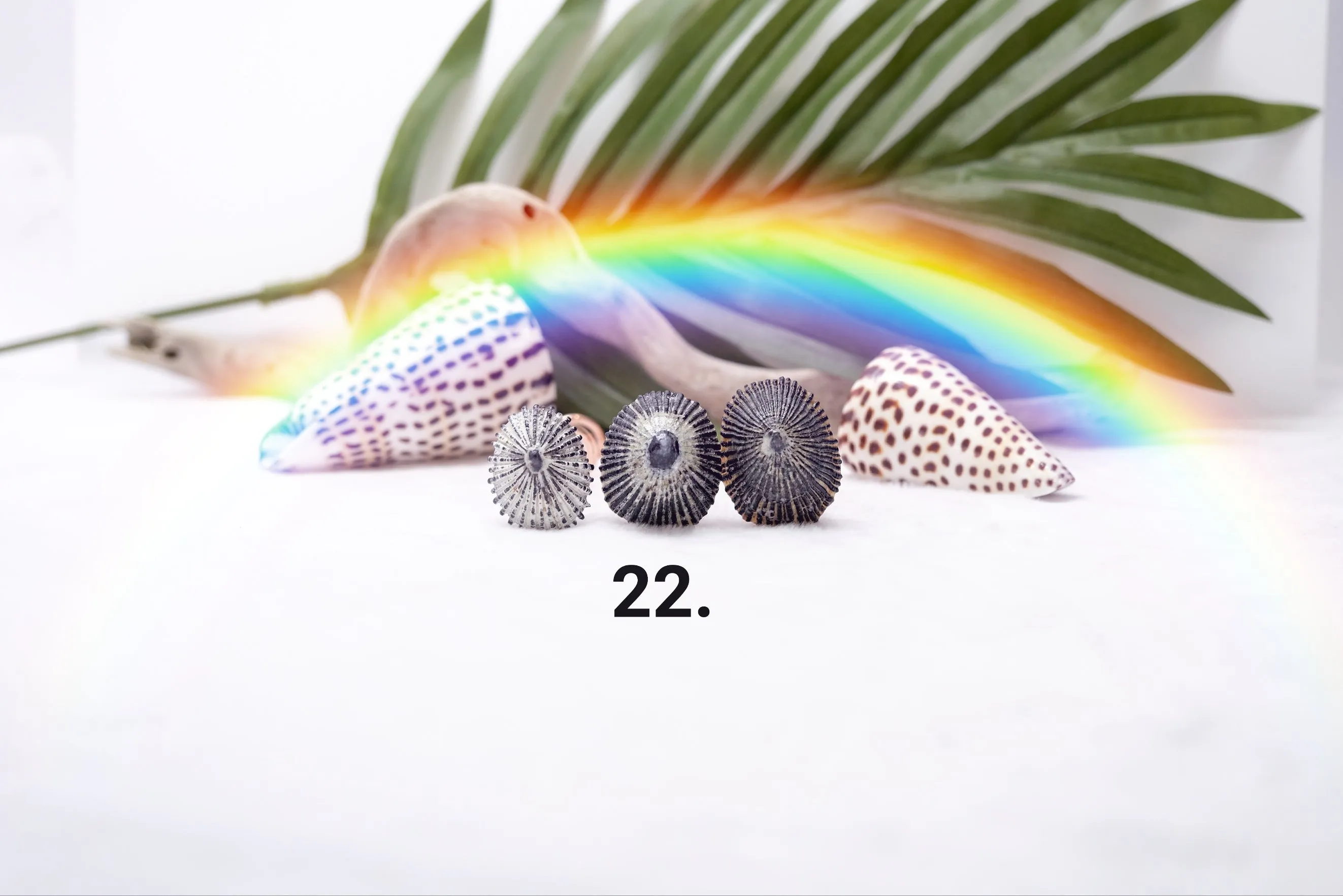 'Opihi Hair Pins