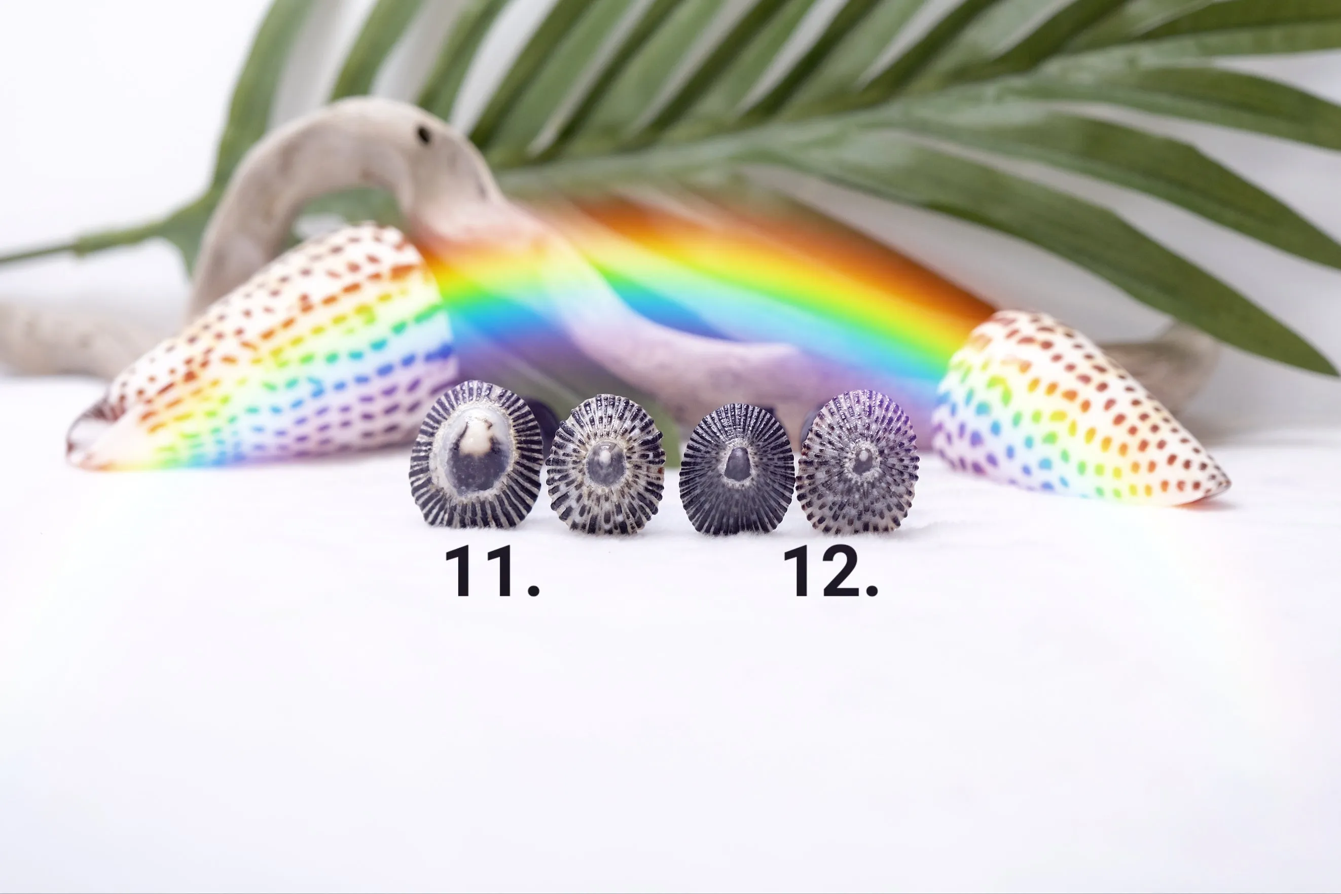'Opihi Hair Pins