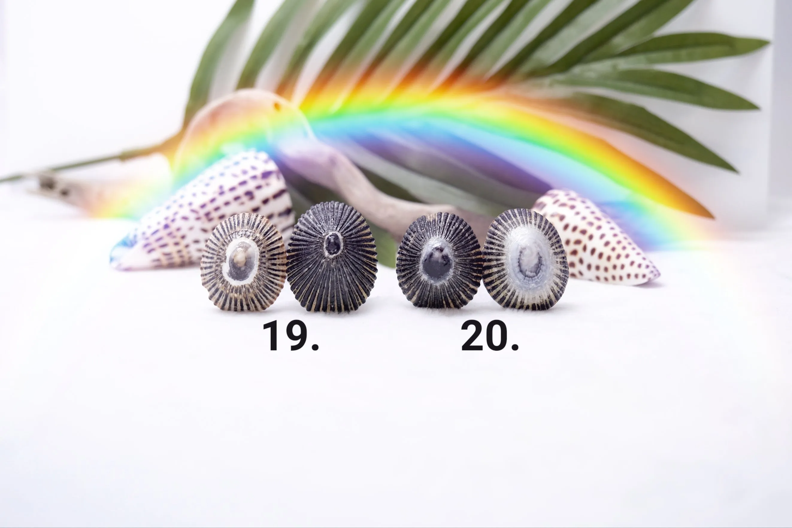 'Opihi Hair Pins