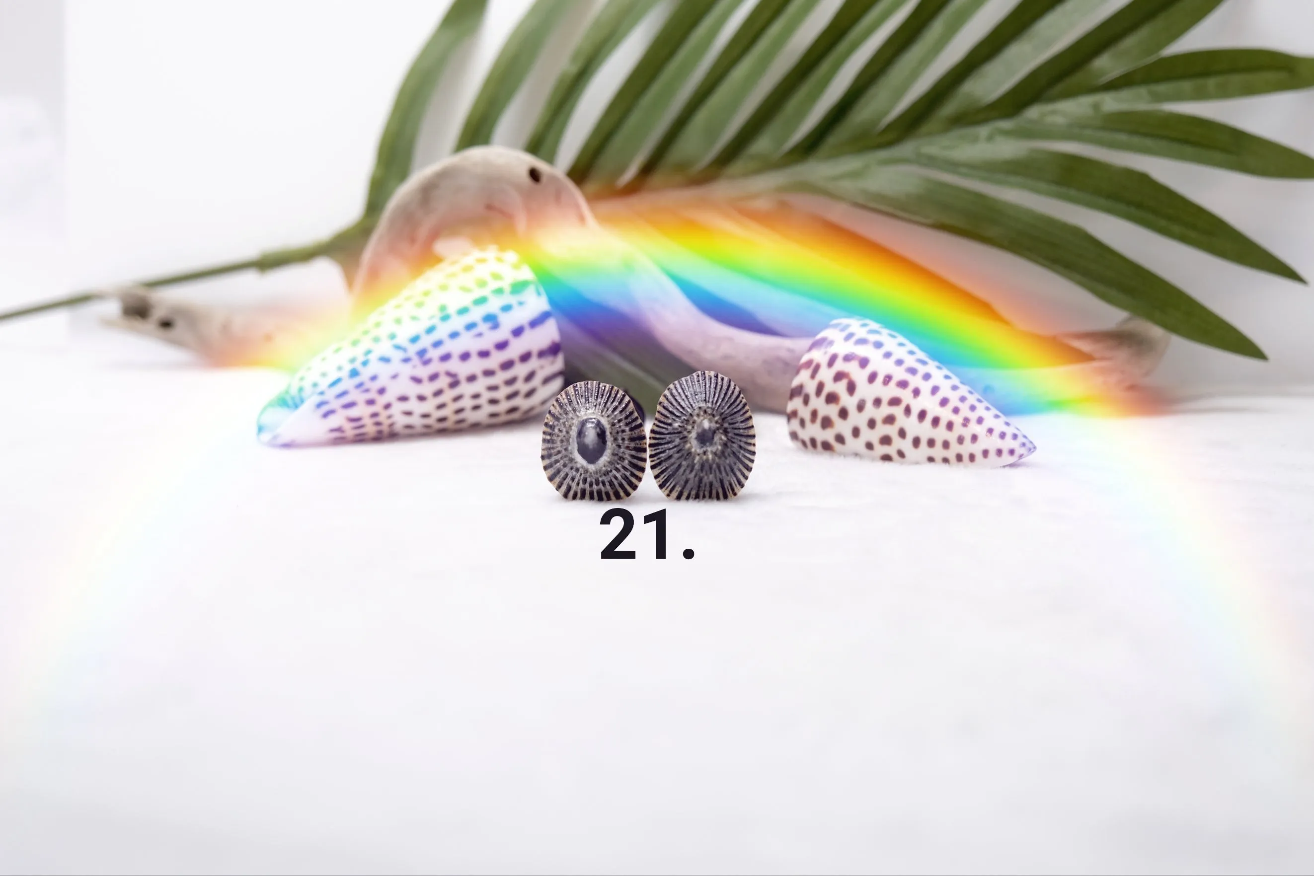 'Opihi Hair Pins