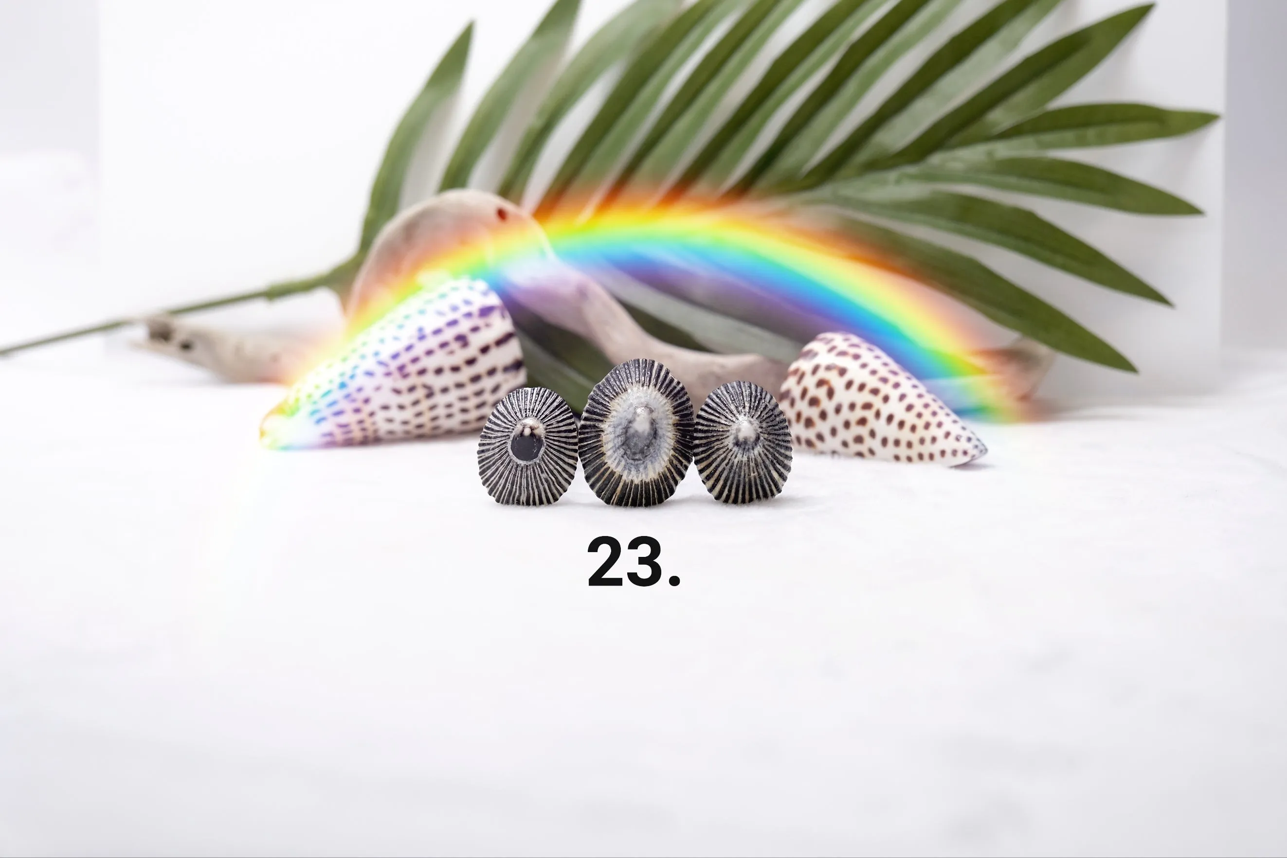 'Opihi Hair Pins