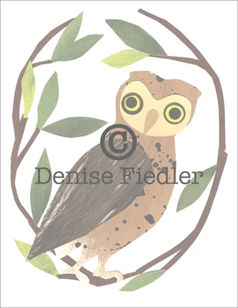 Owl in Branches