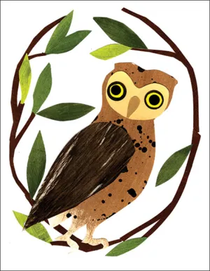 Owl in Branches