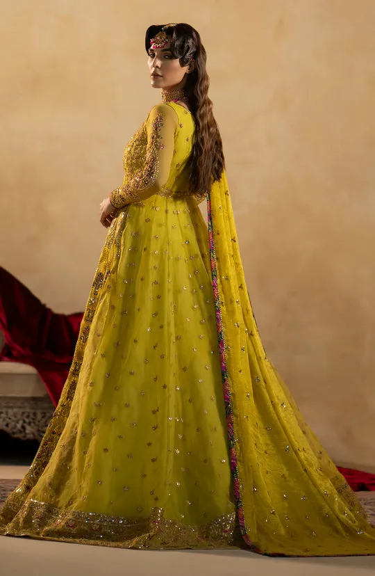 Pakistani Wedding Dress in Green Pishwas Frock Style