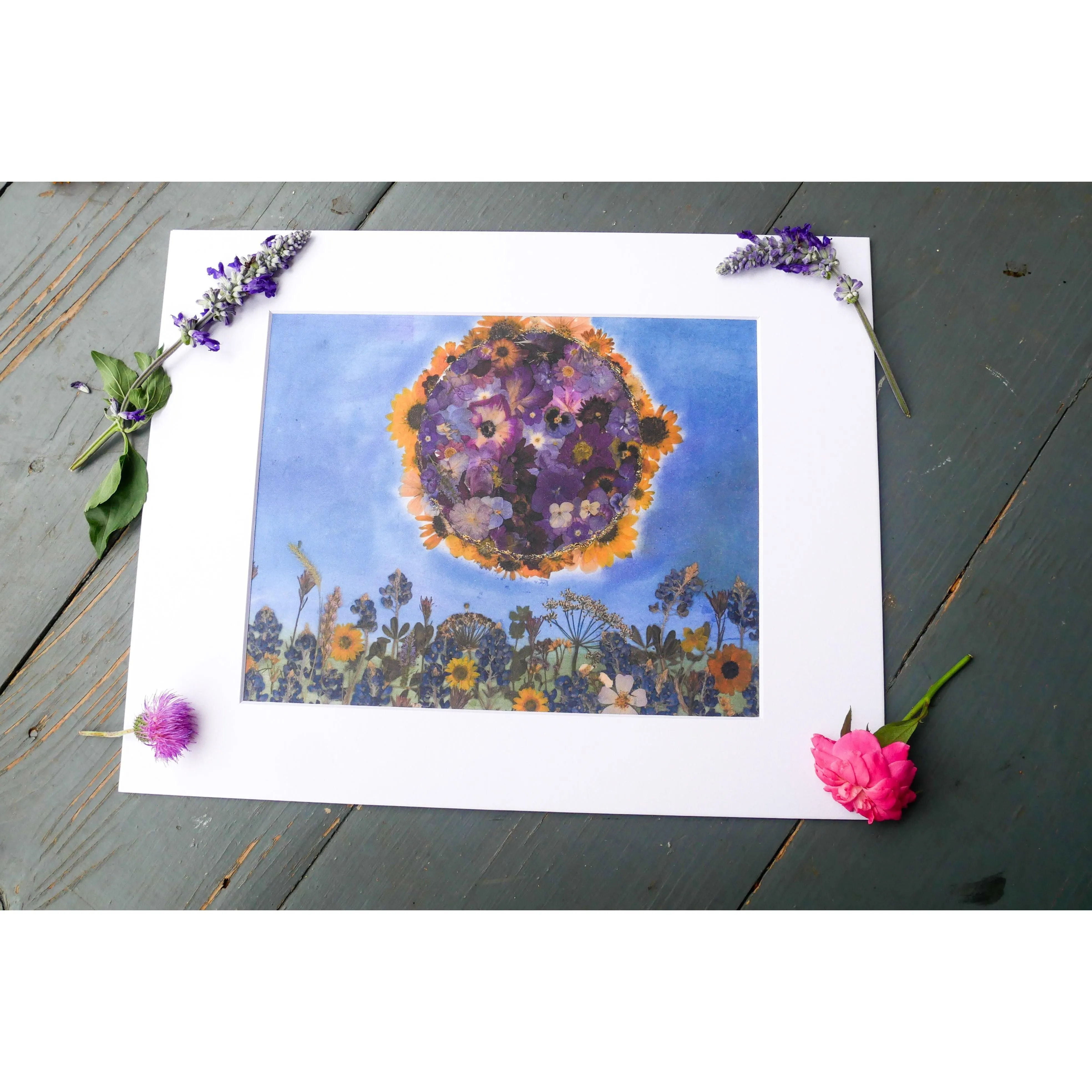 Pressed flower Eclipse Art