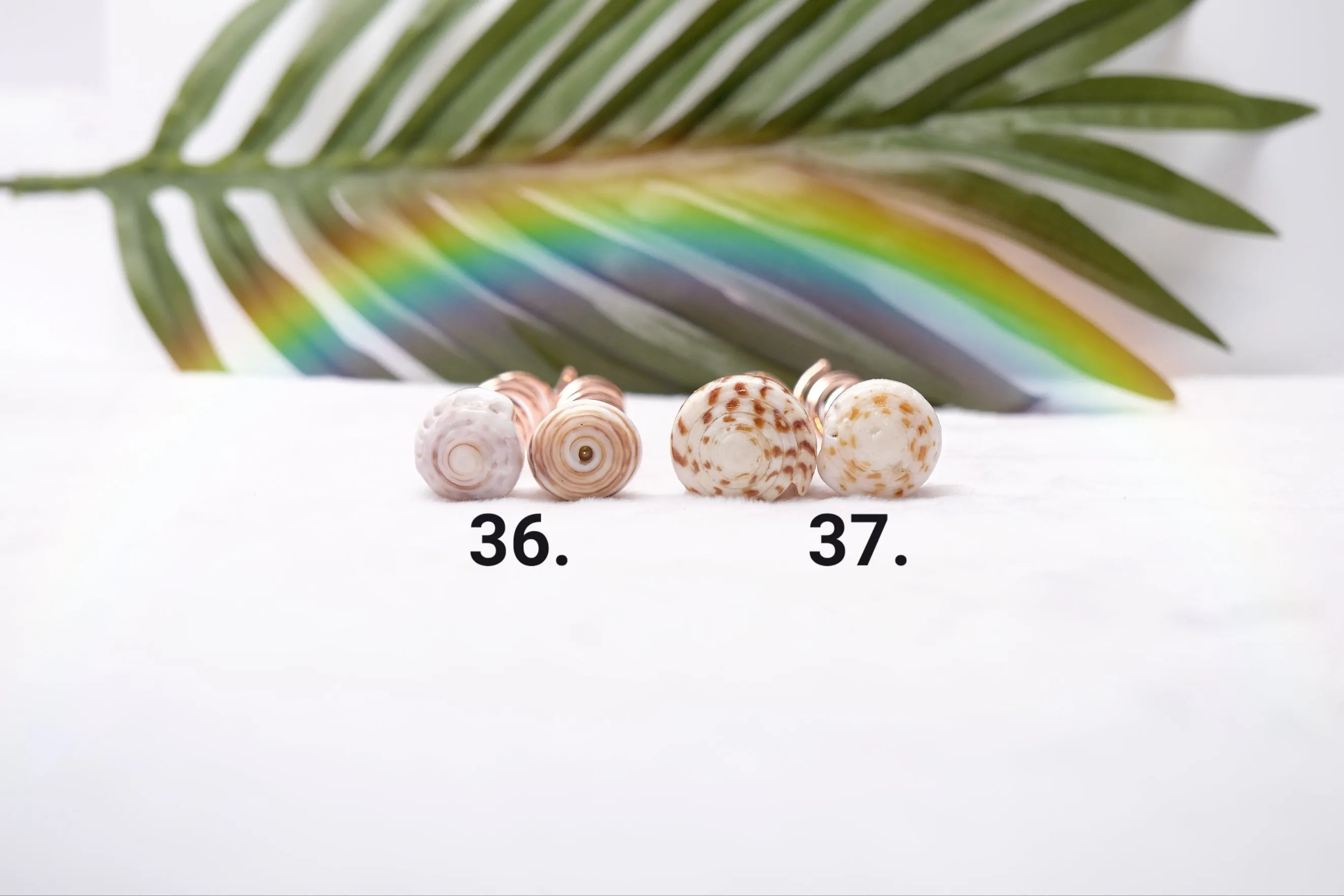 Puka Hair Pins