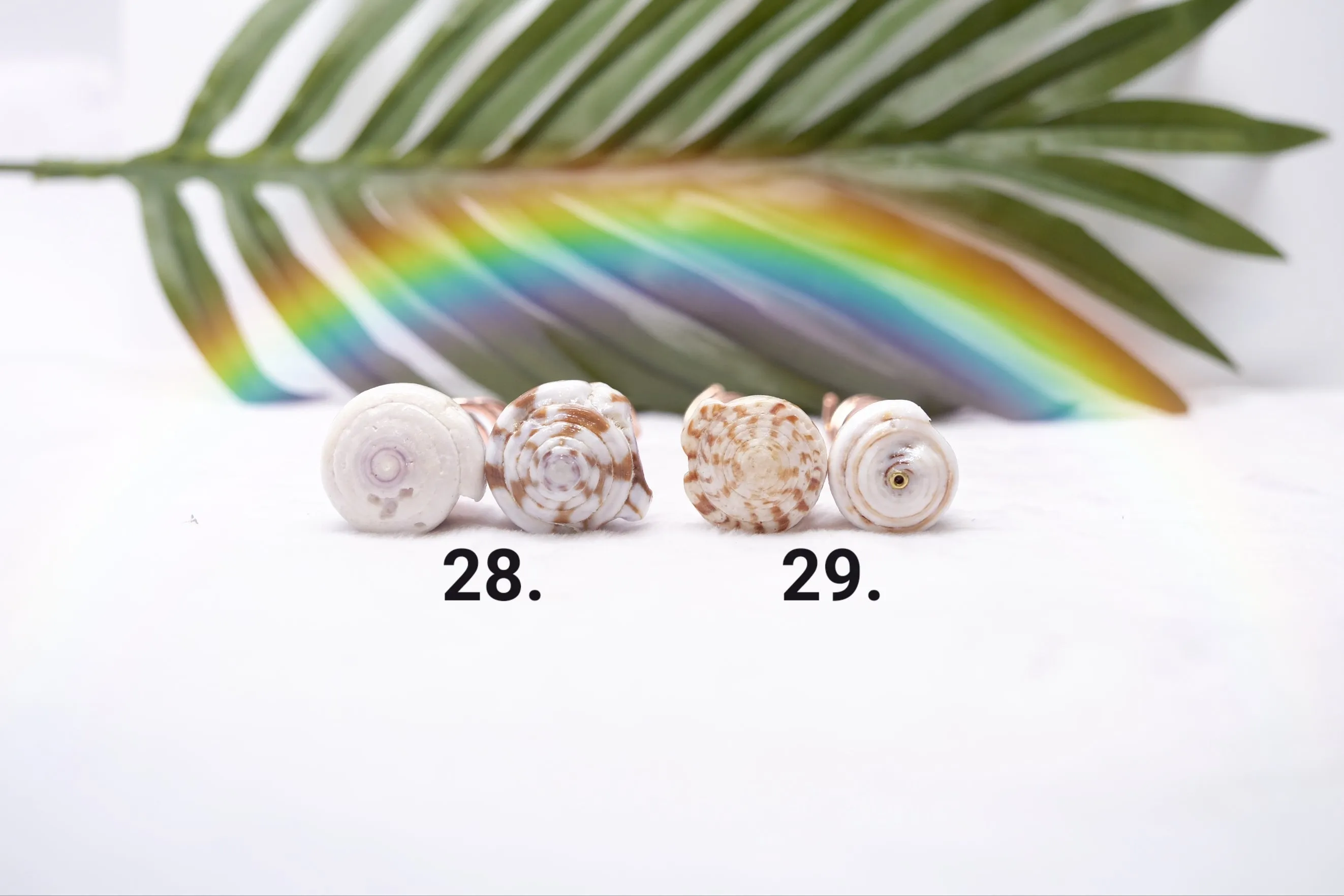 Puka Hair Pins