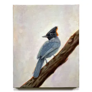 "Harbinger" Stellar's Jay Painting 16x20