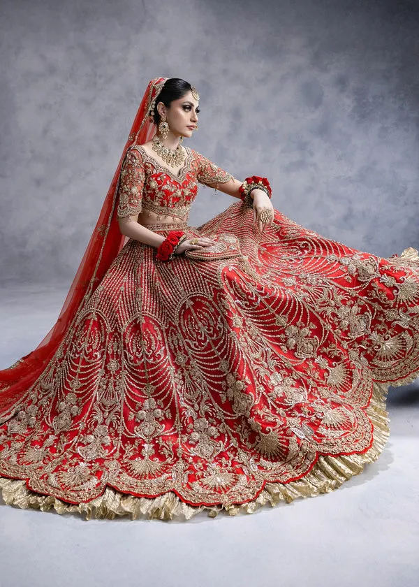 Red Lehenga Choli and Dupatta Bridal Wedding Dress