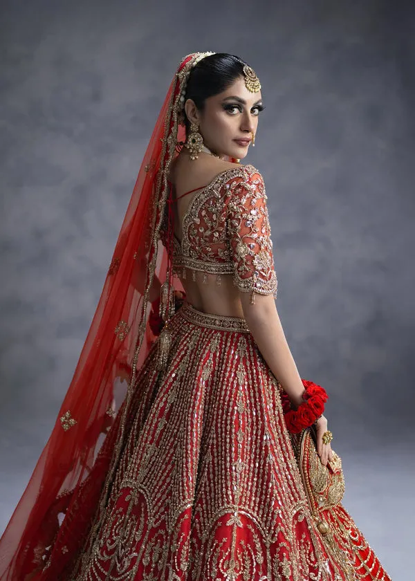 Red Lehenga Choli and Dupatta Bridal Wedding Dress