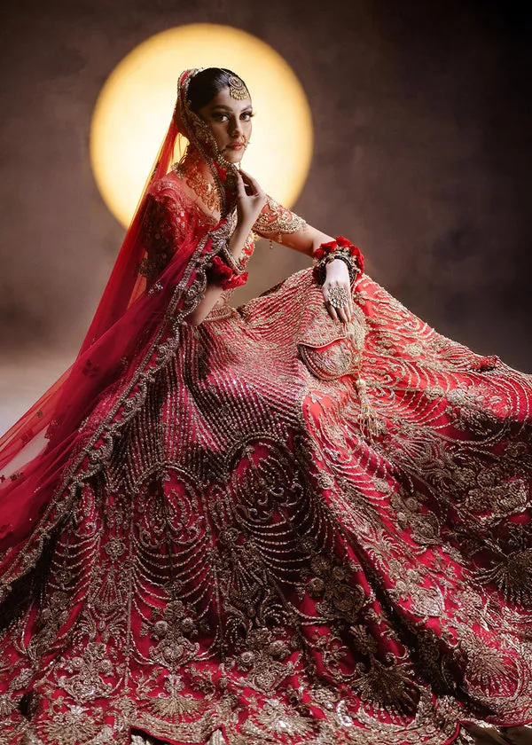 Red Lehenga Choli and Dupatta Bridal Wedding Dress