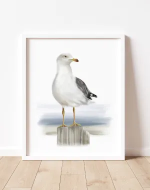 Seagull Standing on Wood Art Print