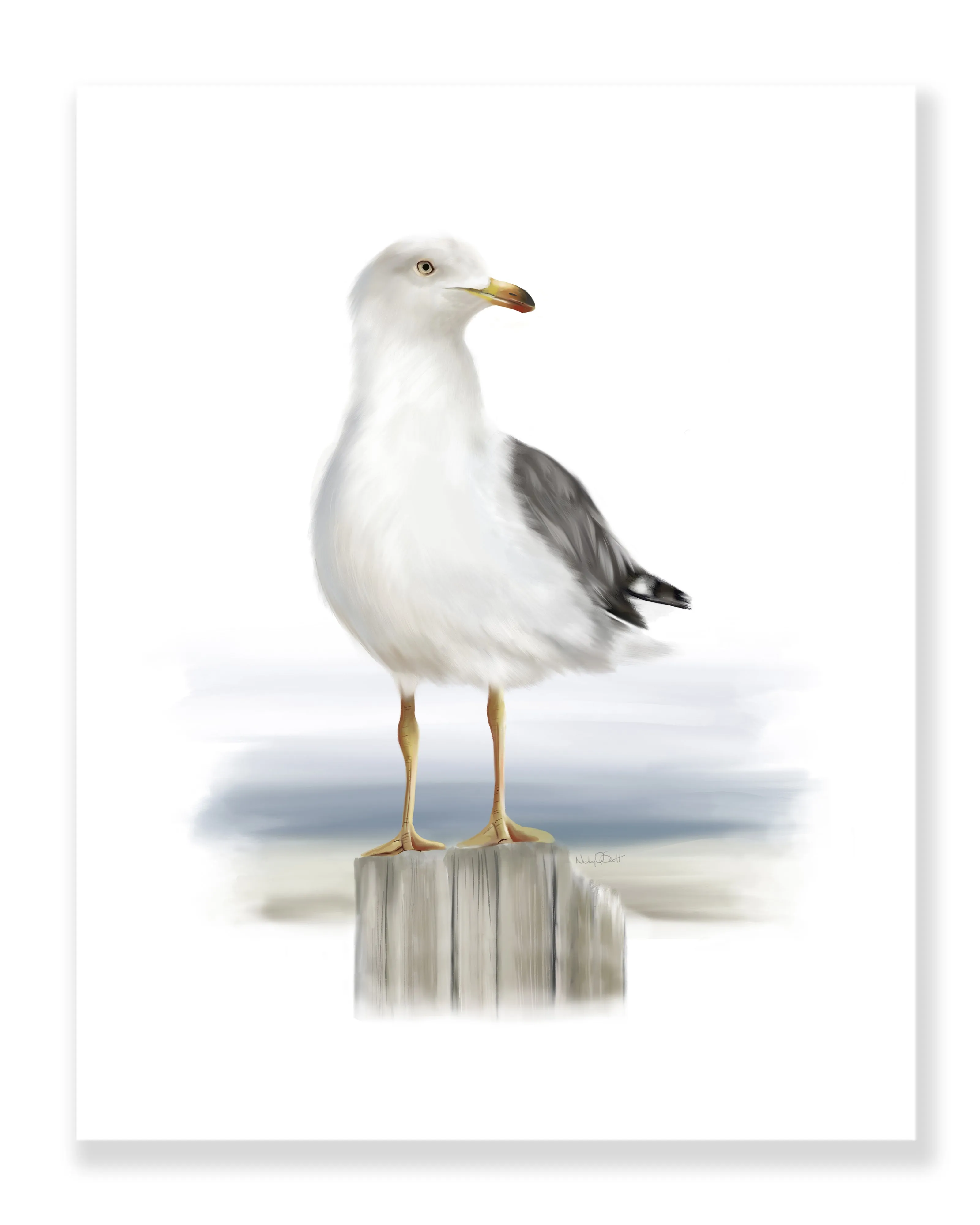 Seagull Standing on Wood Art Print