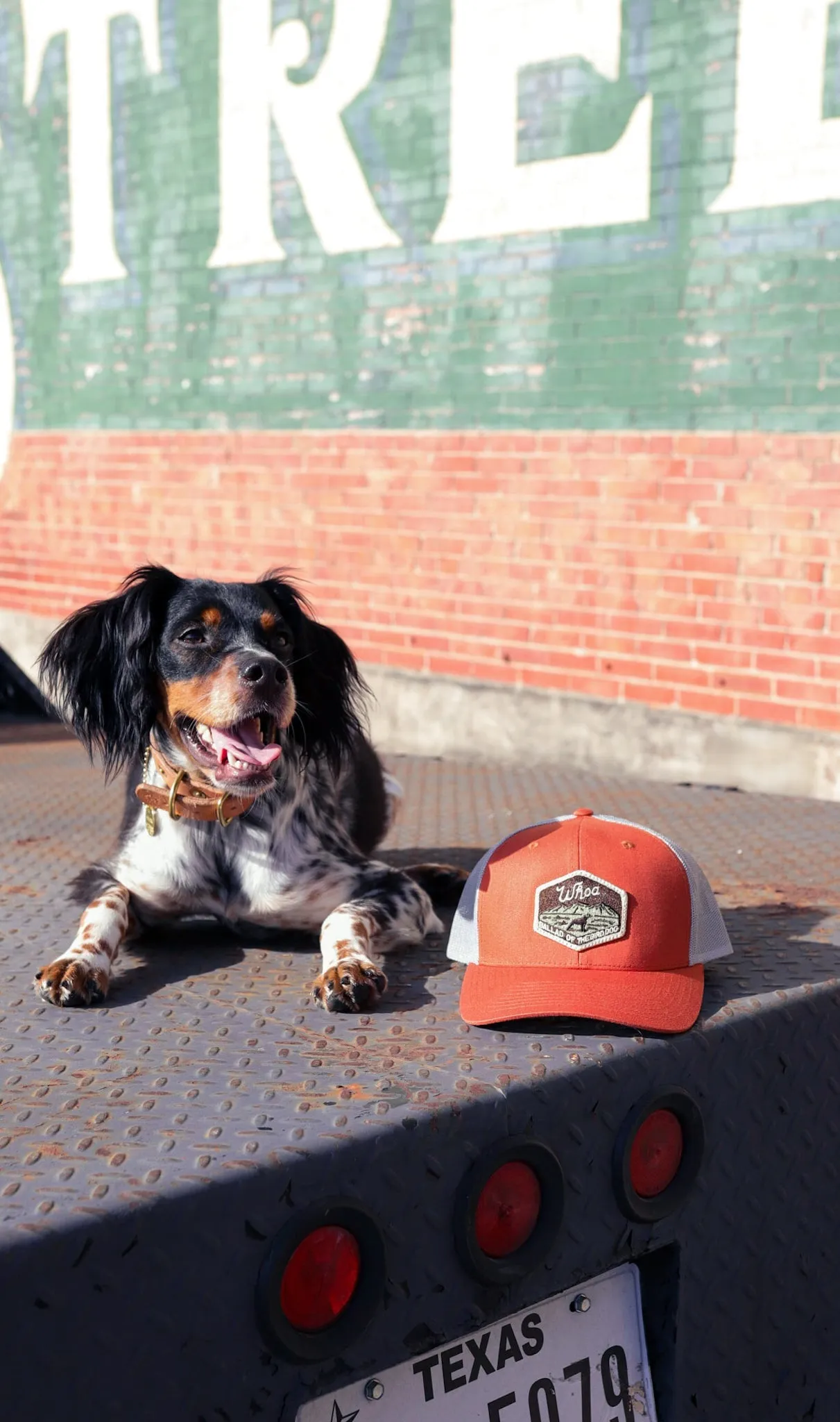 Shop Hat | Whoa | Ballad of the Bird Dog