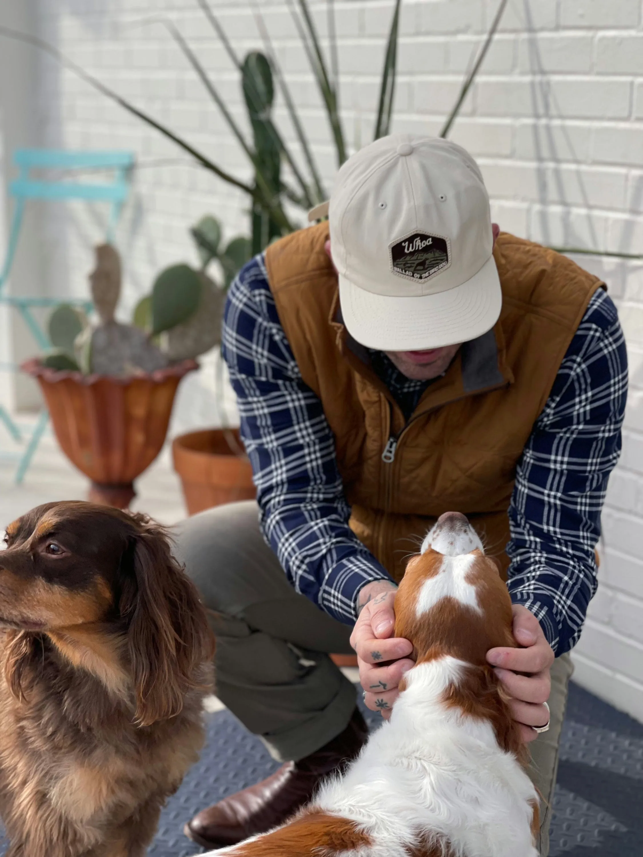 Shop Hat | Whoa | Ballad of the Bird Dog