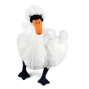 Swan