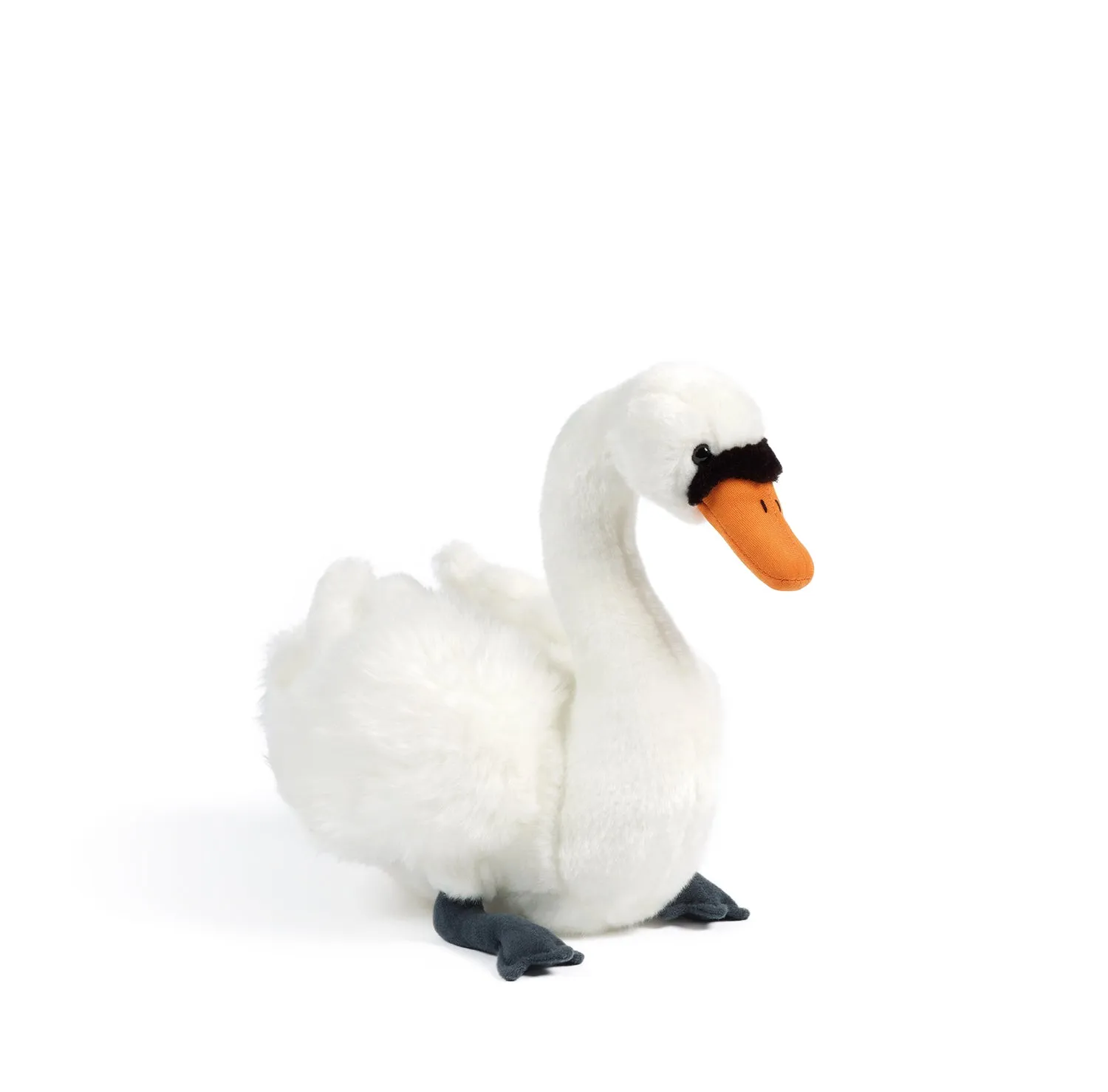 Swan