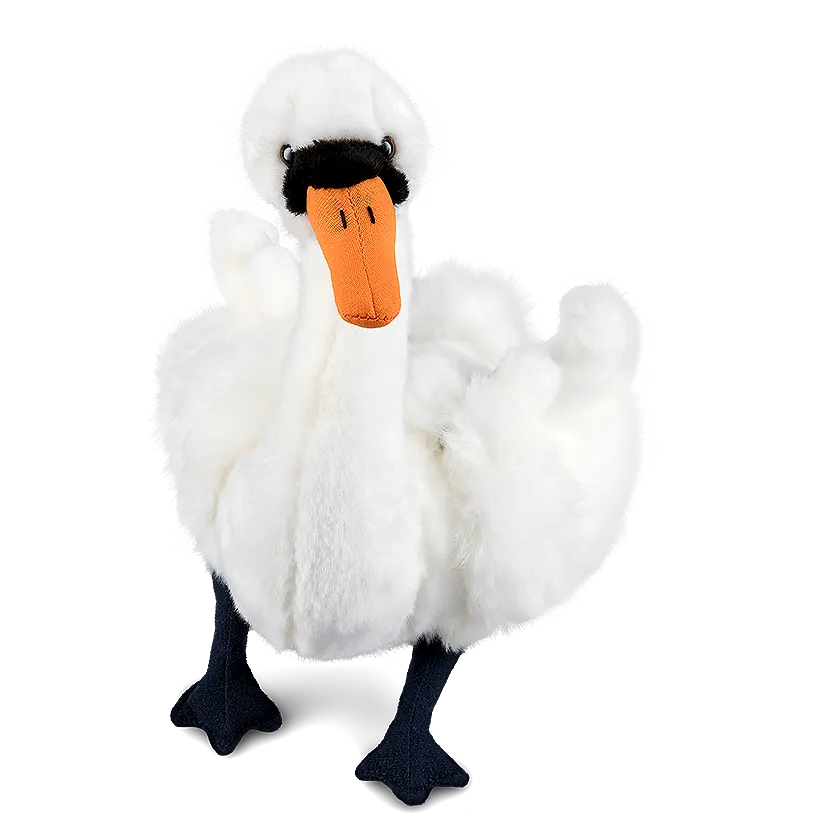 Swan