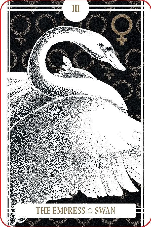 The Avian Tarot
