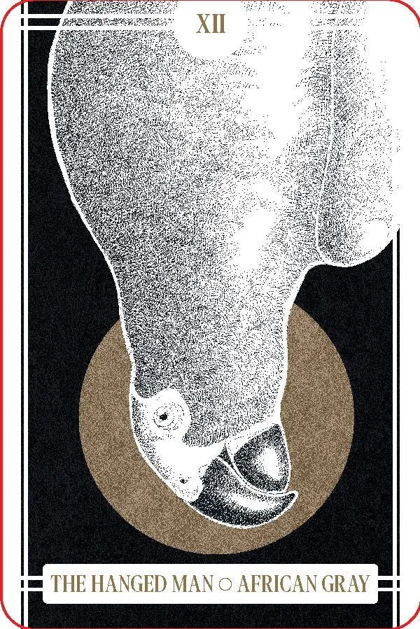The Avian Tarot