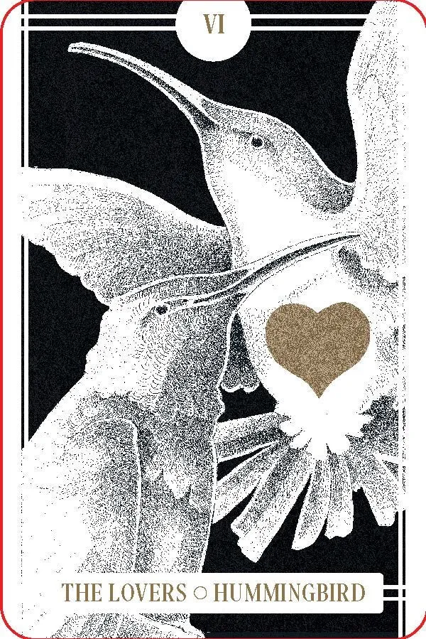 The Avian Tarot