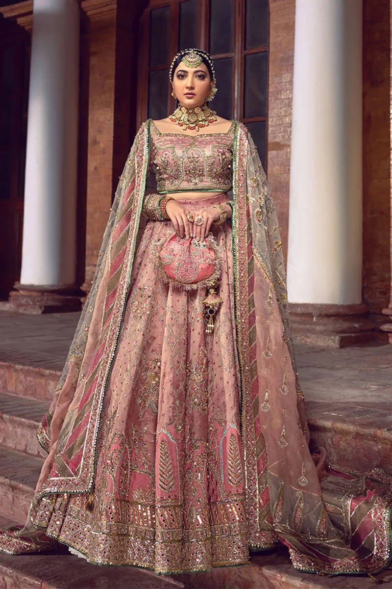 Tissue Lehenga Choli Bridal Dress Pakistani #BS770