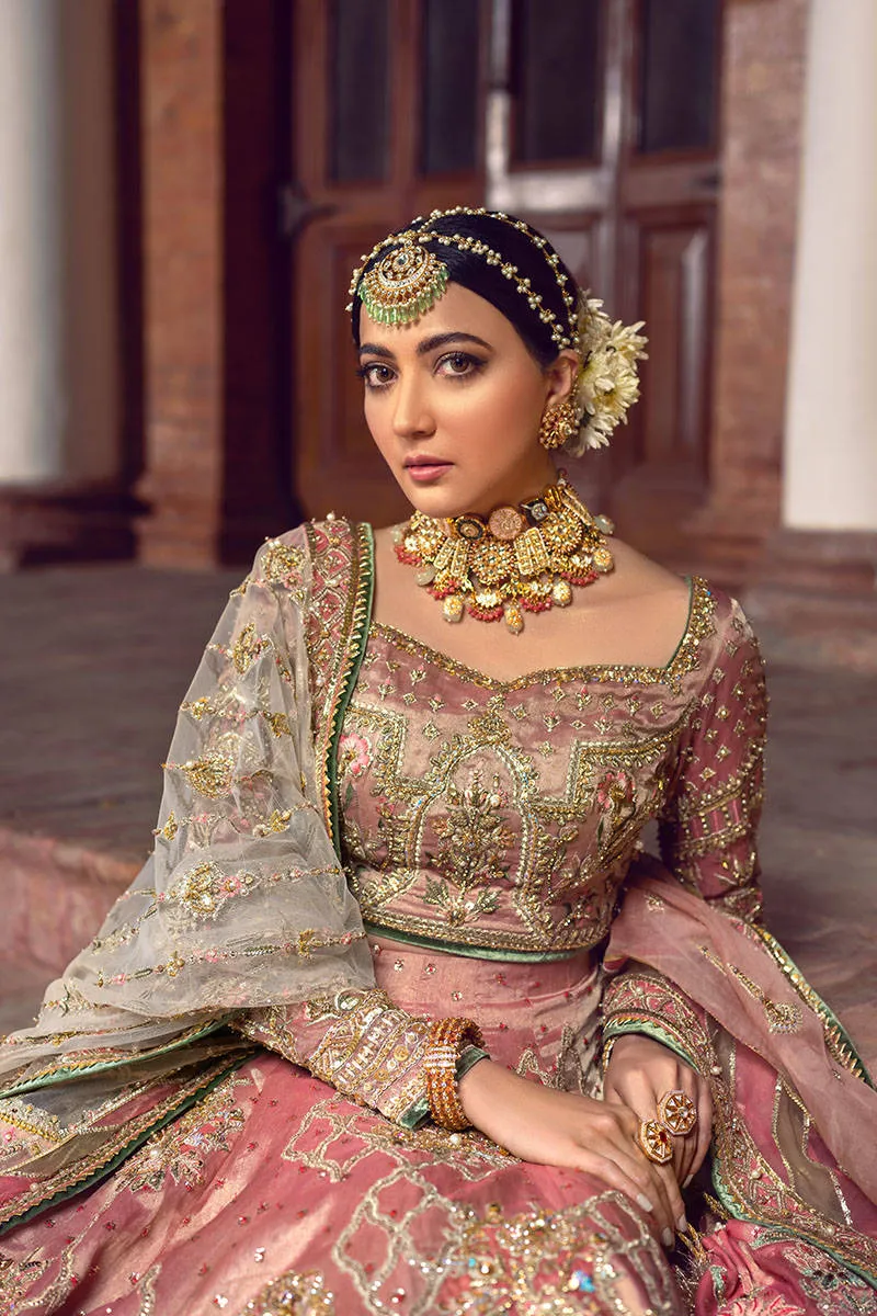 Tissue Lehenga Choli Bridal Dress Pakistani #BS770