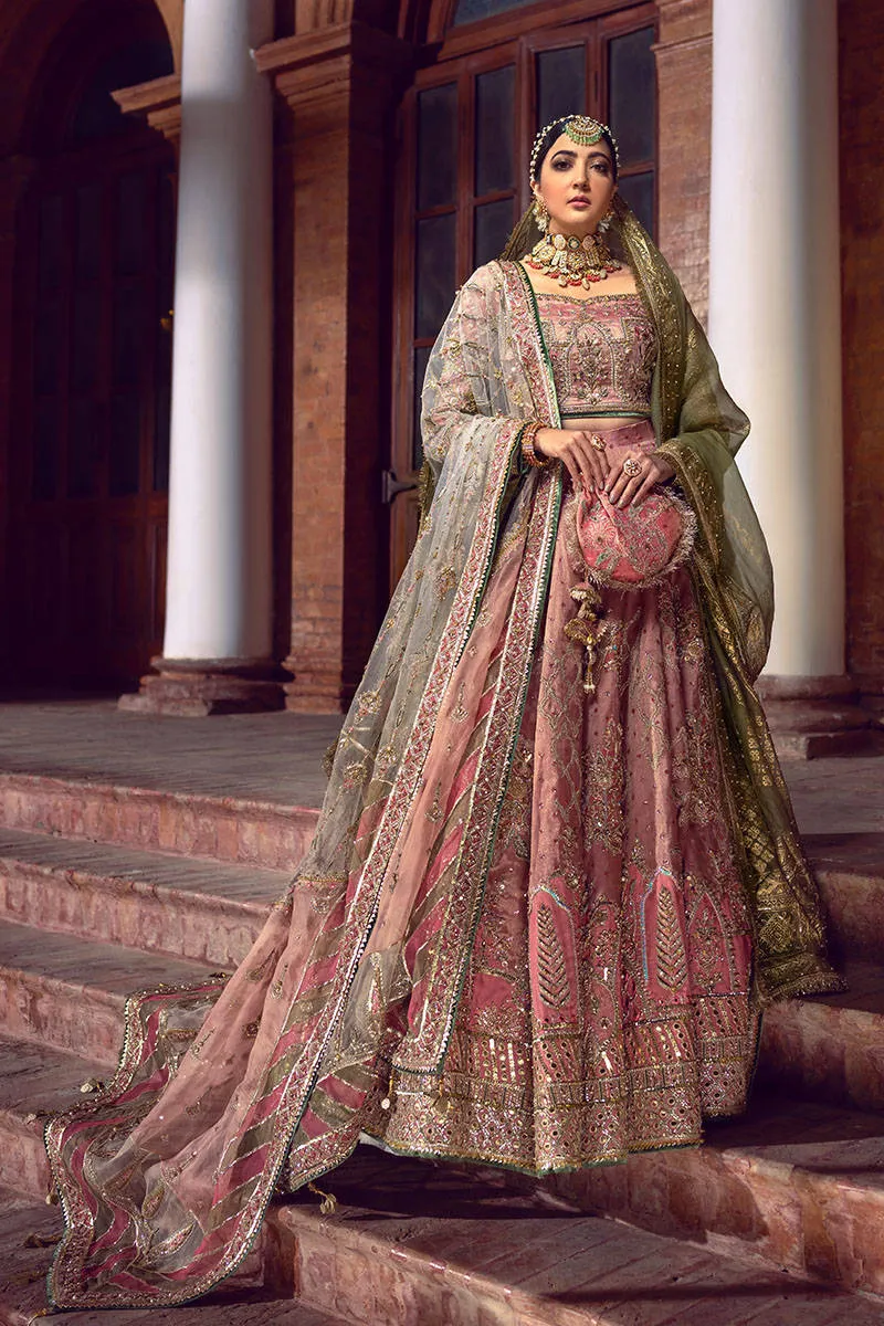 Tissue Lehenga Choli Bridal Dress Pakistani #BS770