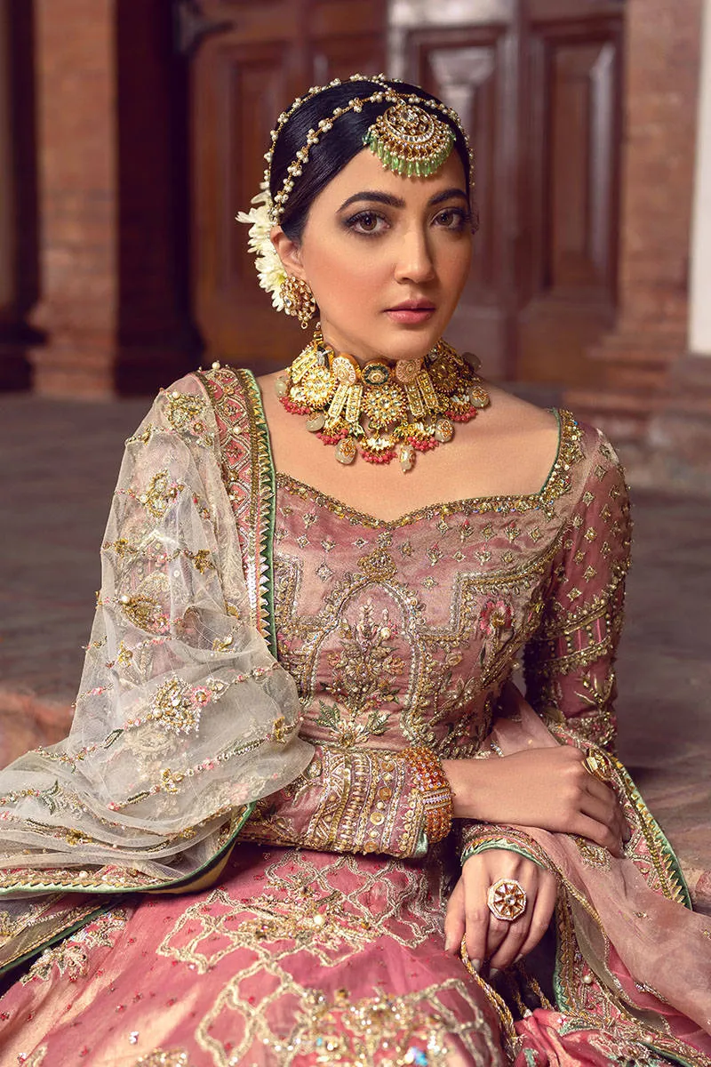 Tissue Lehenga Choli Bridal Dress Pakistani #BS770