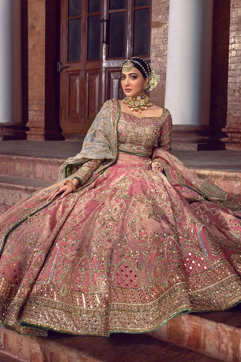 Tissue Lehenga Choli Bridal Dress Pakistani #BS770