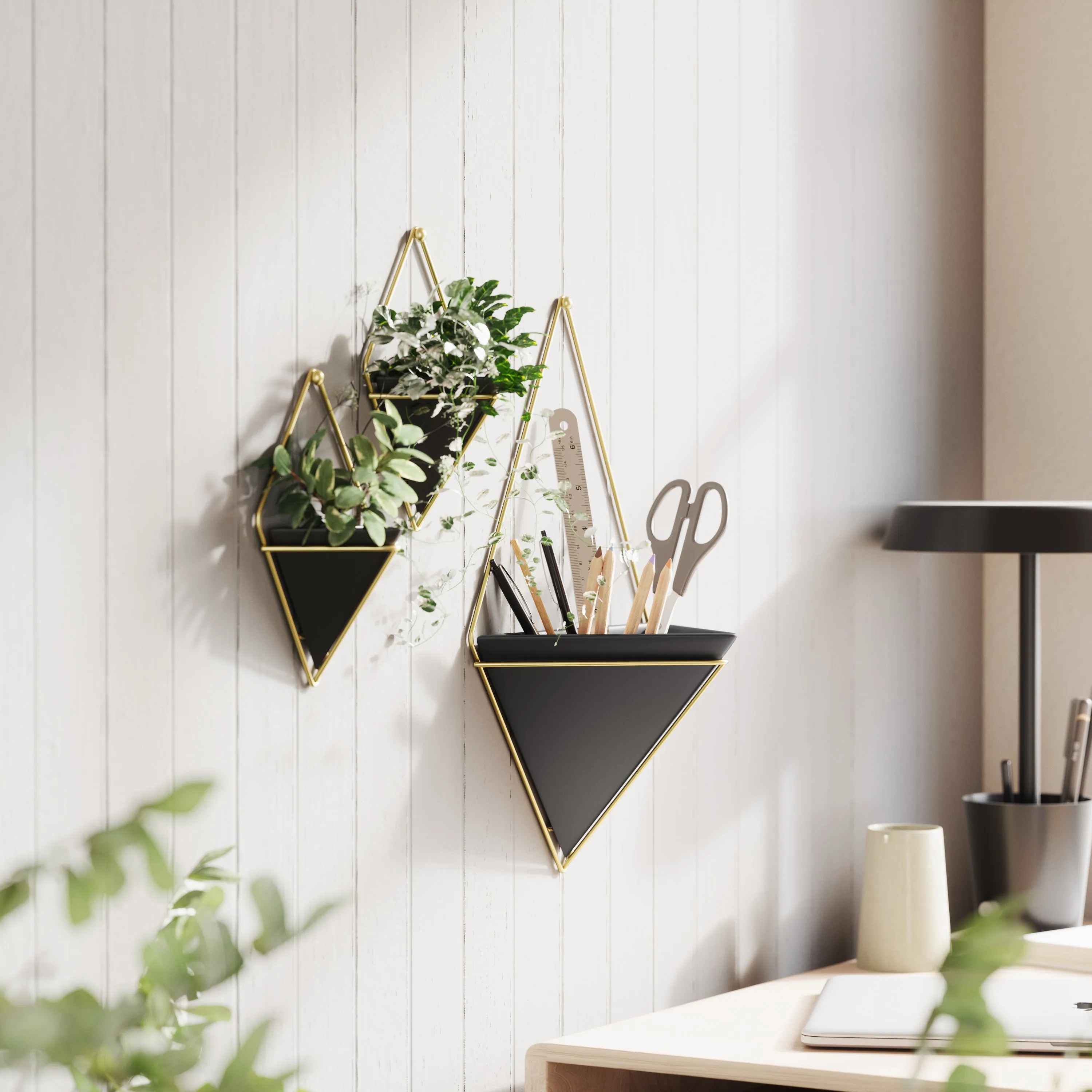 TRIGG WALL DISPLAY