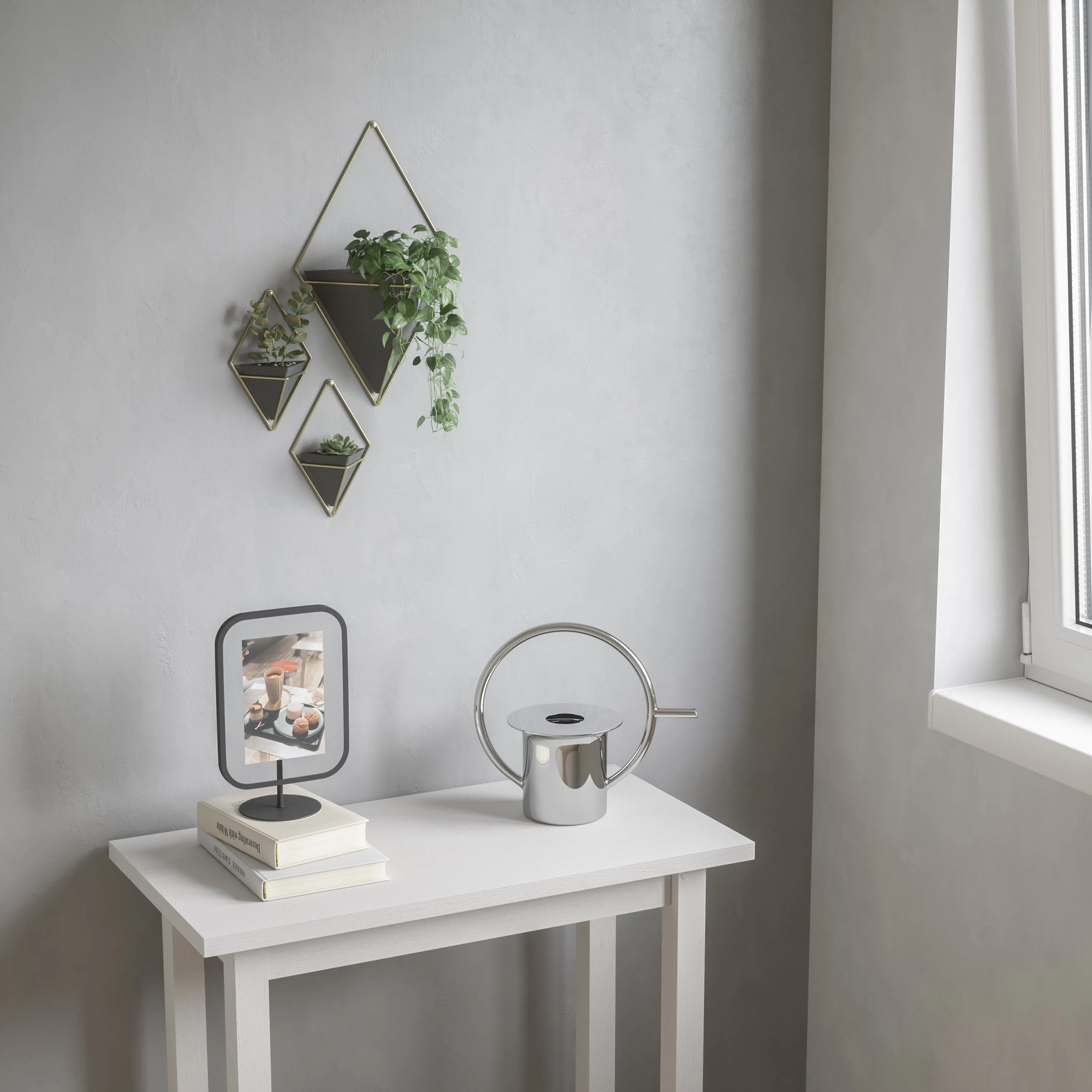 TRIGG WALL DISPLAY